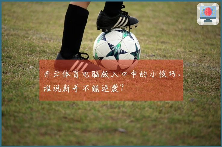 开云体育电脑版入口中的小技巧，谁说新手不能逆袭？