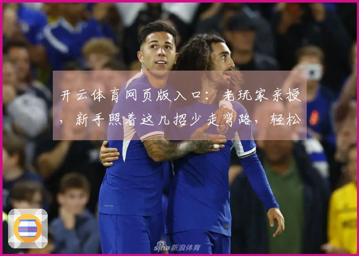 开云体育网页版入口：老玩家亲授，新手照着这几招少走弯路，轻松上手稳赚不赔